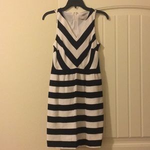 loft dress